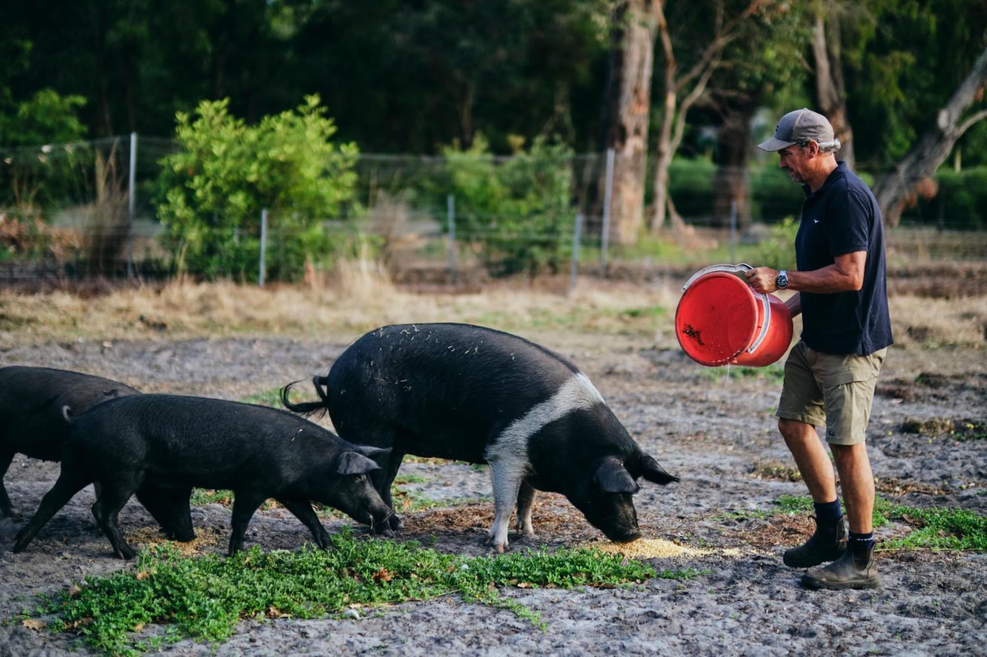 Вилла Burnside Organic Farm Маргарет-Ривер Экстерьер фото