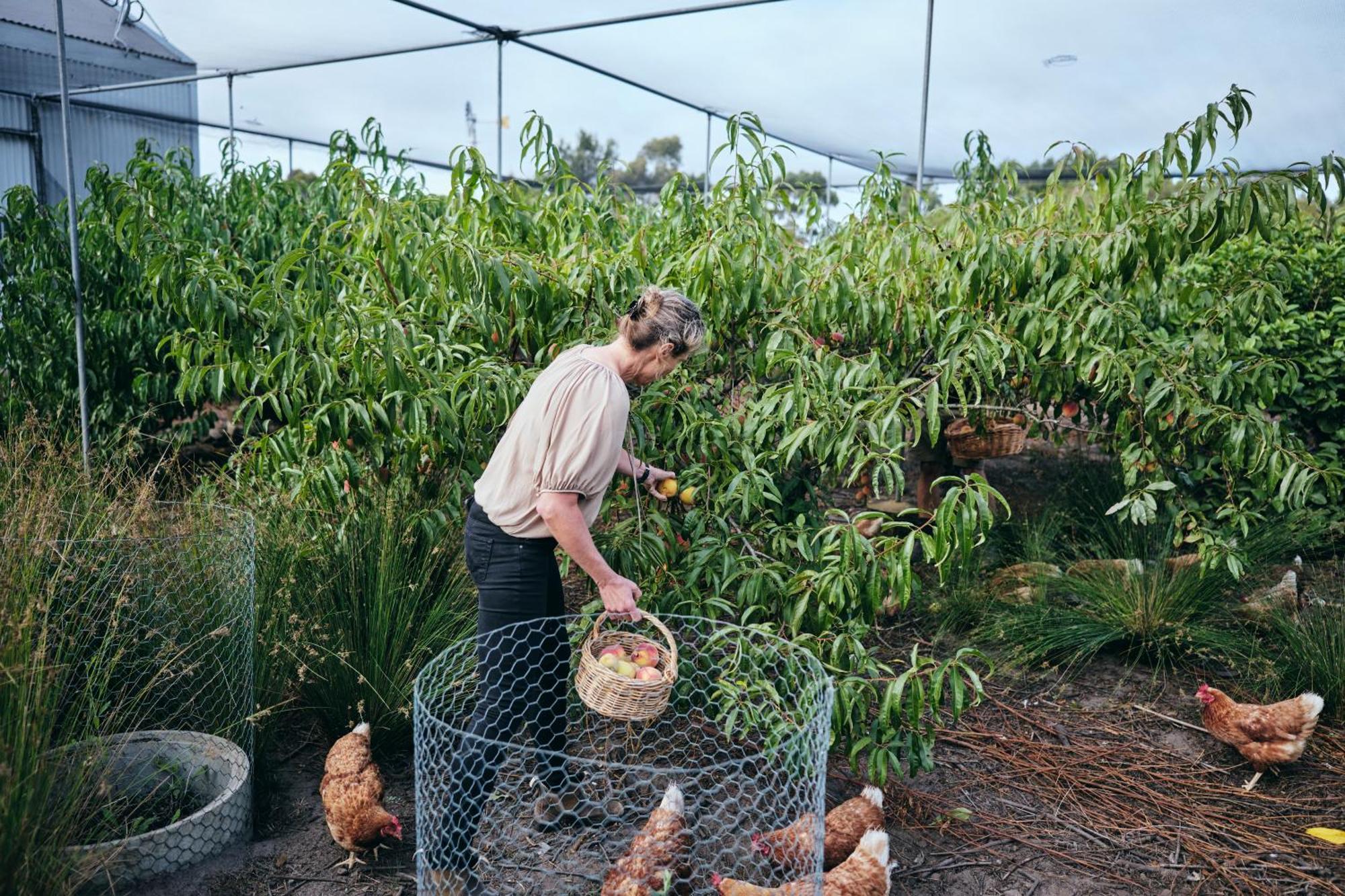 Вилла Burnside Organic Farm Маргарет-Ривер Экстерьер фото