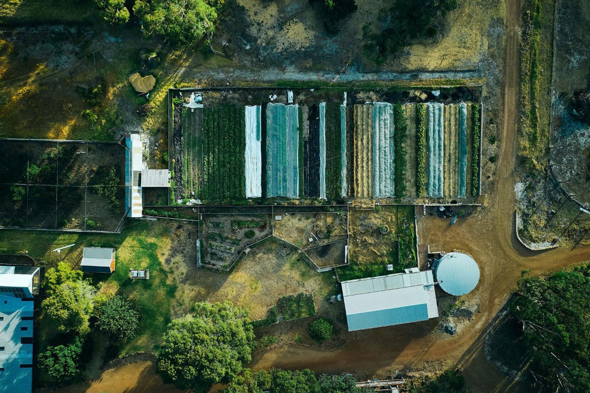 Вилла Burnside Organic Farm Маргарет-Ривер Экстерьер фото