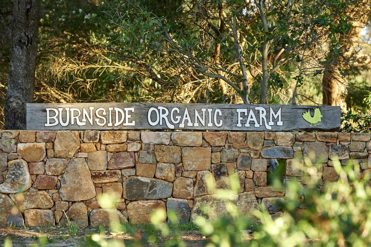 Вилла Burnside Organic Farm Маргарет-Ривер Экстерьер фото