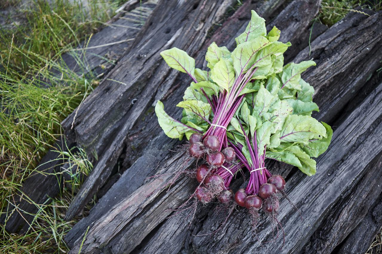 Вилла Burnside Organic Farm Маргарет-Ривер Экстерьер фото